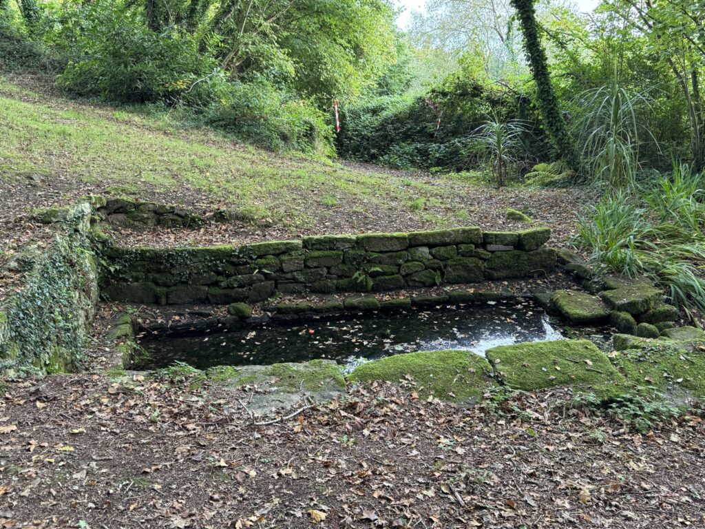 555500762_10235774690619408_6340497336161437798_n